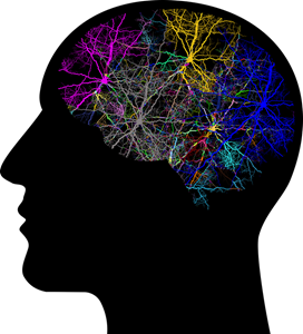 An image of brain waves to talk about how a brain mapping test works. 