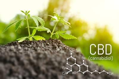 CBD Questions Answered