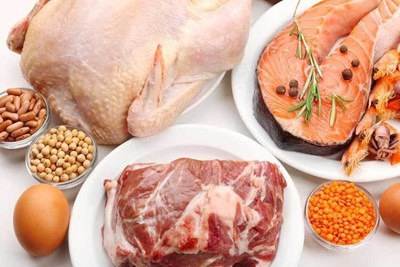 The Power of Protein