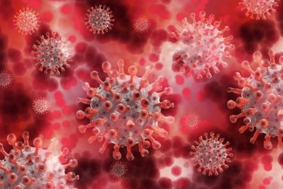 Image of virus strands to discuss ideas on how to fight viruses naturally.
