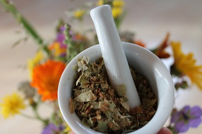 Wholistic Medicine: Finding Answers to Thyroid and Immune Mysteries